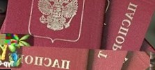 Словакия за год выдала в два раза больше виз