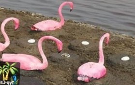 Турция: В Измире создан остров для фламинго