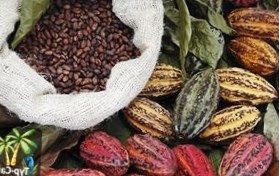 Эквадор: National Geographic рекомендует Маршрут какао