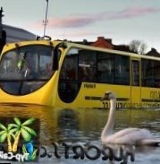 Автобус-амфибия будет перевозить туристов в Японии